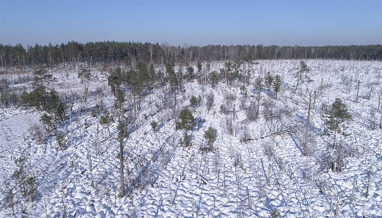 Ujęcia z drona na sprzedaż - łąki i bagna podczas zimy
