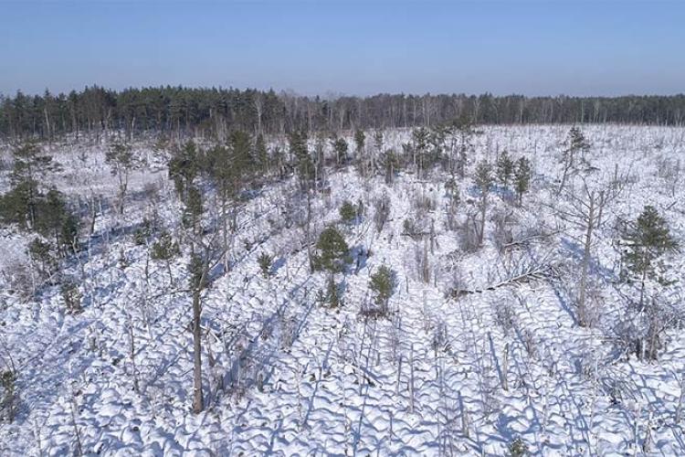 Drone X Vision - Pola, lasy i łąki - okrez zimowy - zima