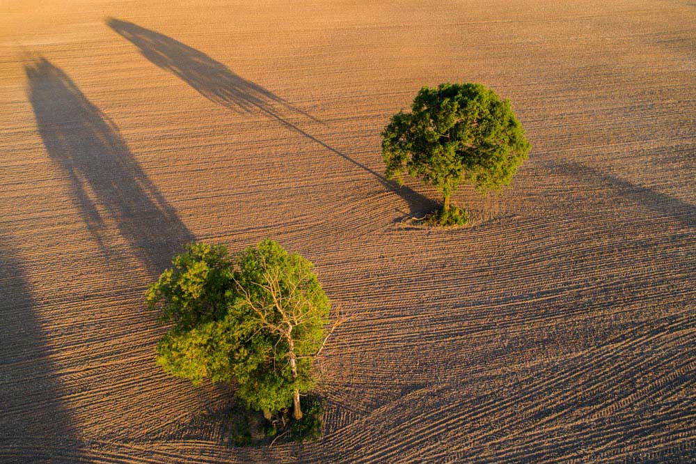 Foto z lotu ptaka - Drone X Vision - złota godzina nad polami