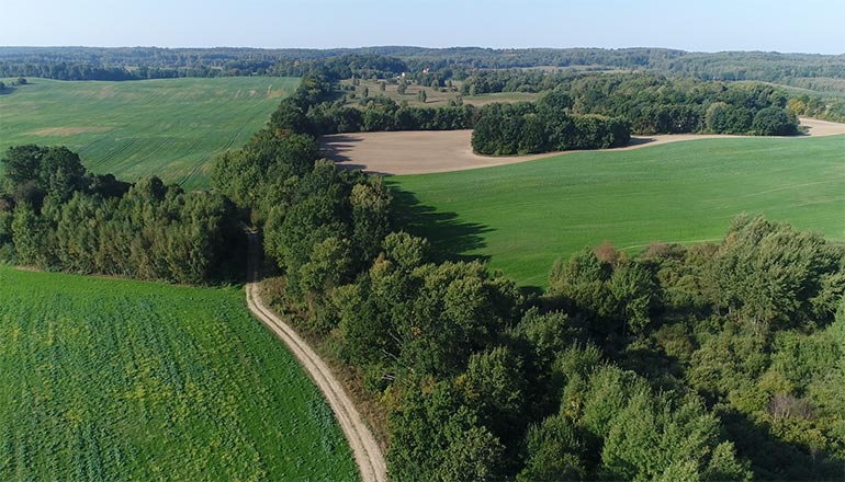 Ujęcia z lotu ptaka na sprzedaż - Lasy, pola i łąki