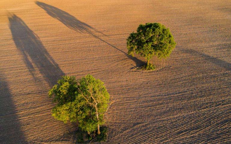 Foto z lotu ptaka - Drone X Vision - złota godzina nad polami